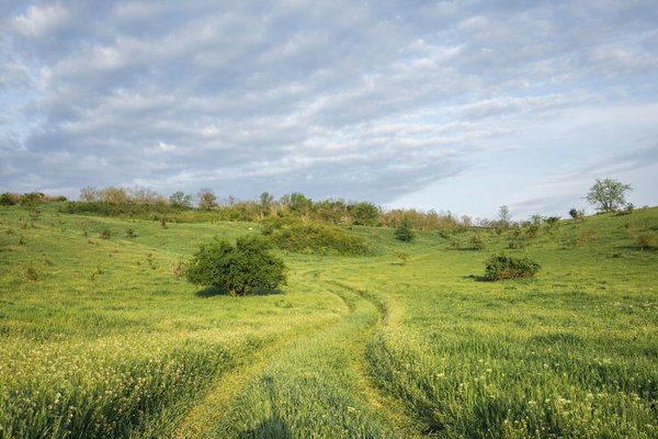 Créez des Moments Mémorables : Un Séminaire Exceptionnel dans un Paradis Estival